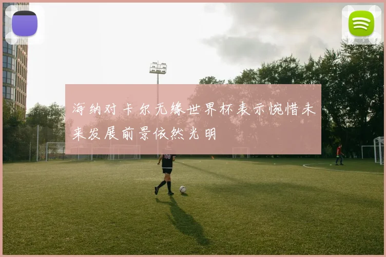 海纳对卡尔无缘世界杯表示惋惜未来发展前景依然光明
